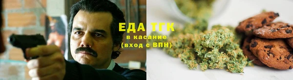 ALPHA-PVP Гусев