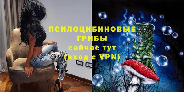 ALPHA-PVP Гусев