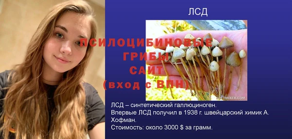 марки nbome Горняк