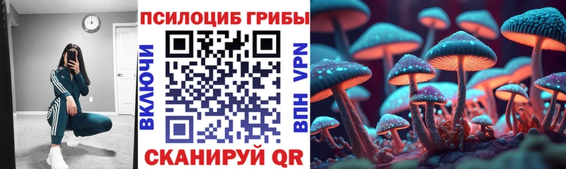 Галлюциногенные грибы ЛСД Кадников