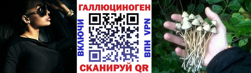 MEGA сайт  купить закладку  Кадников  Псилоцибиновые грибы GOLDEN TEACHER 